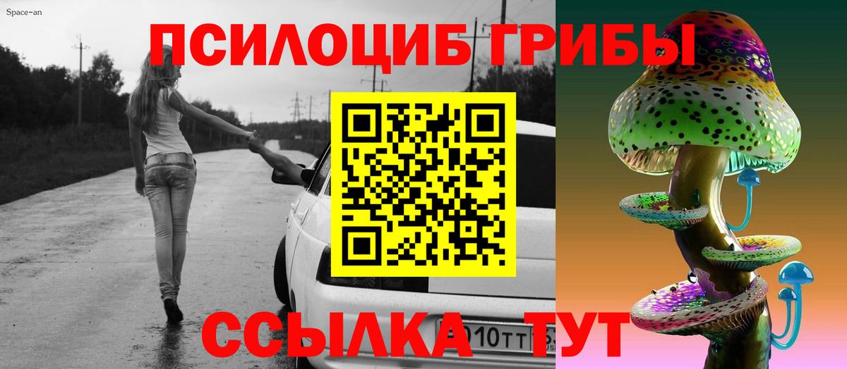 Галлюциногенные грибы Psilocybine cubensis Кушва
