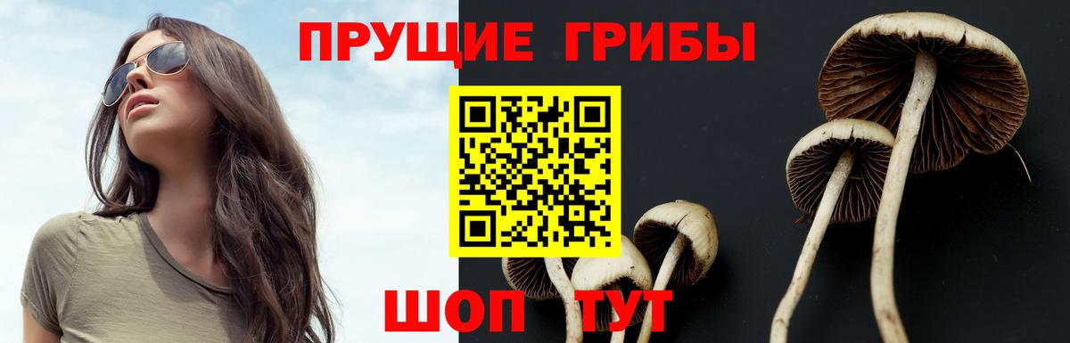 Псилоцибиновые грибы GOLDEN TEACHER  Вход с VPN  Кушва 