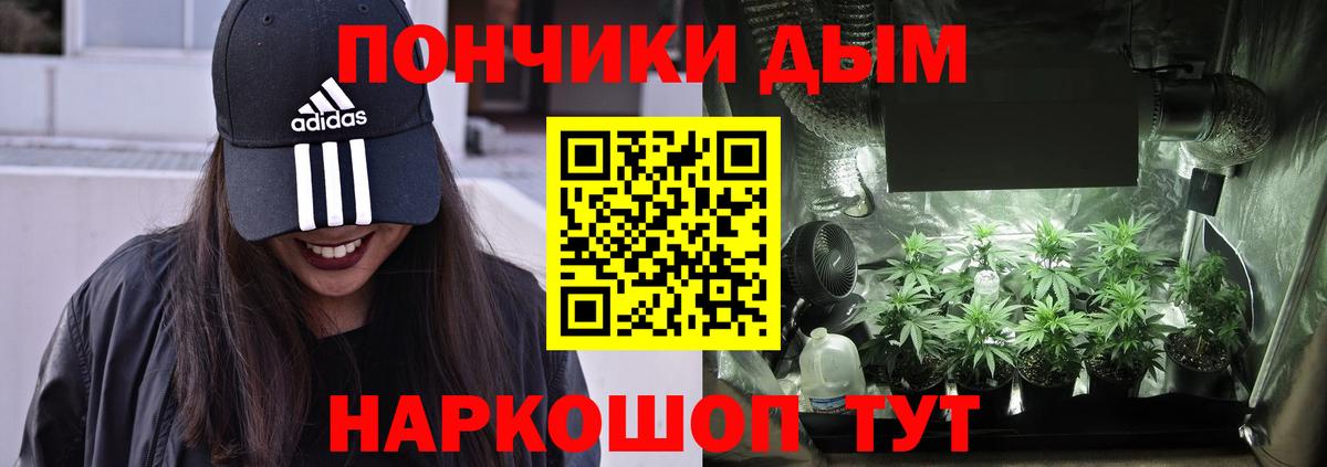 Каннабис ГИДРОПОН Кушва